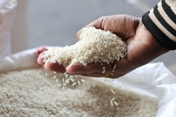 پاکستان چاول برآمد کرنے والا دنیا کا تیسرا بڑا ملک بن گیا – Daily ...